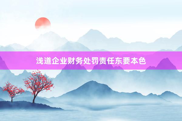 浅道企业财务处罚责任东要本色