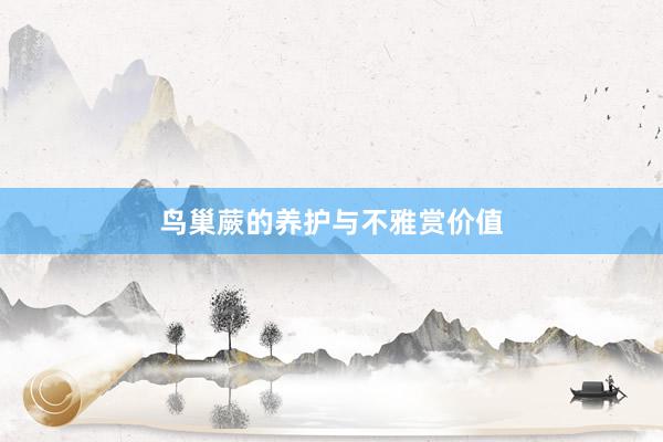 鸟巢蕨的养护与不雅赏价值