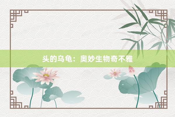 头的乌龟：奥妙生物奇不雅