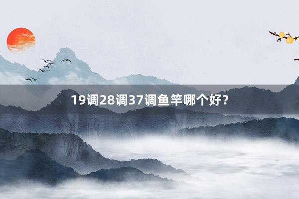 19调28调37调鱼竿哪个好？